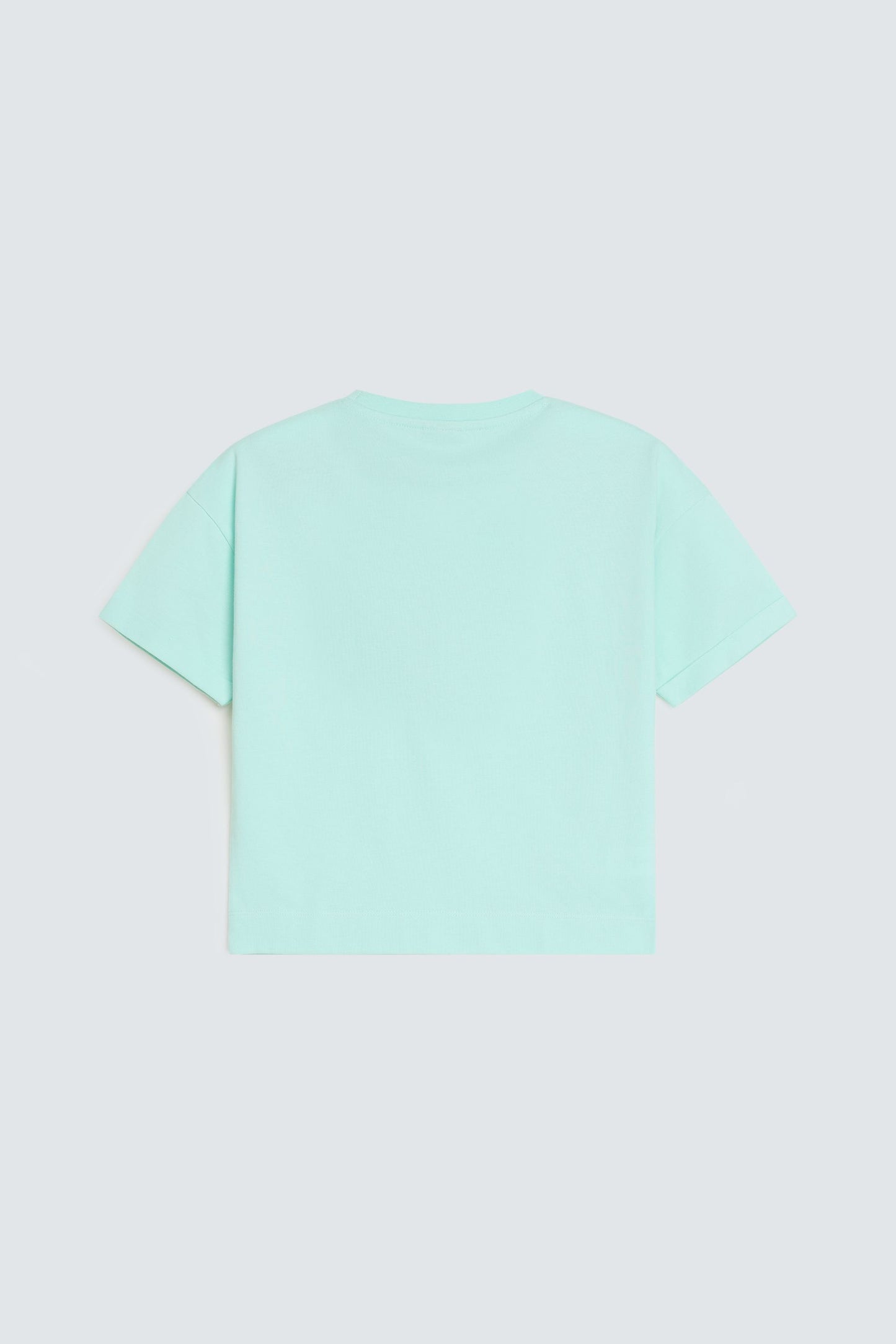 Light Sea Green
