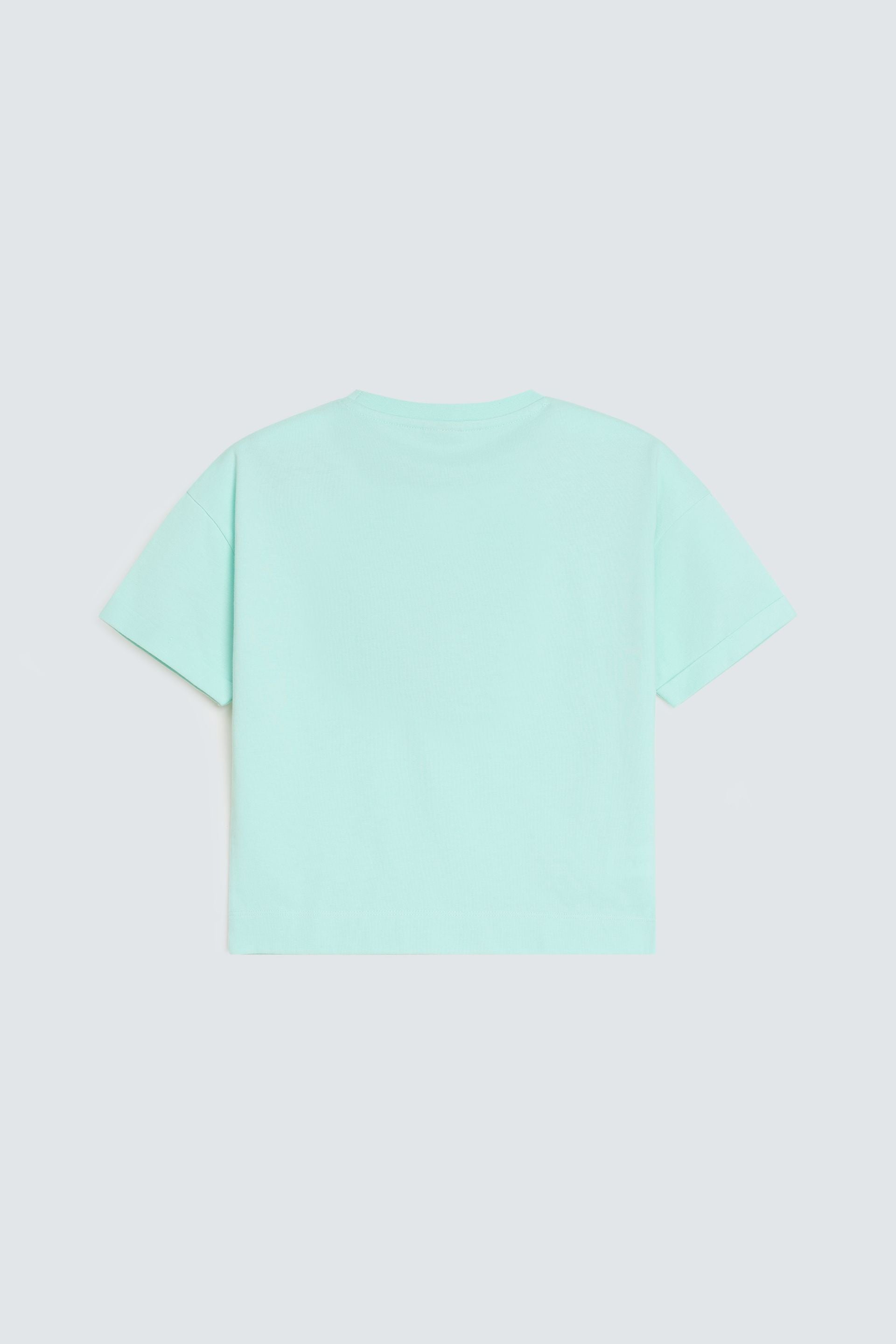 Light Sea Green