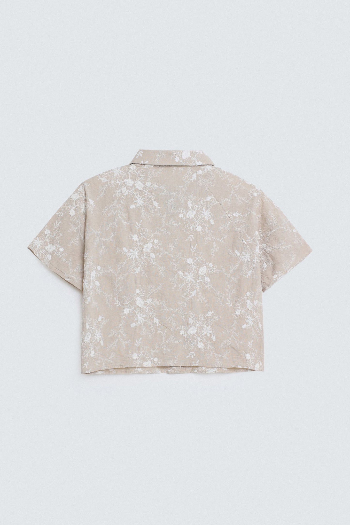 Yellow Beige