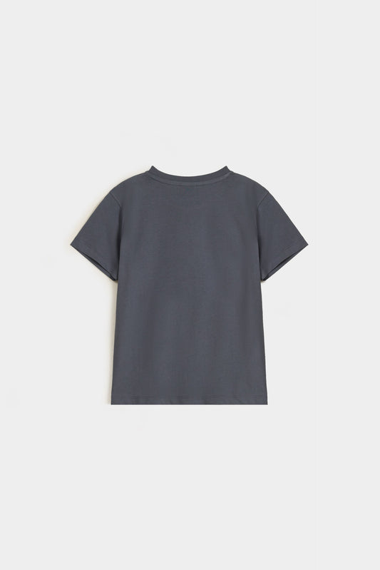 Anthracite Grey