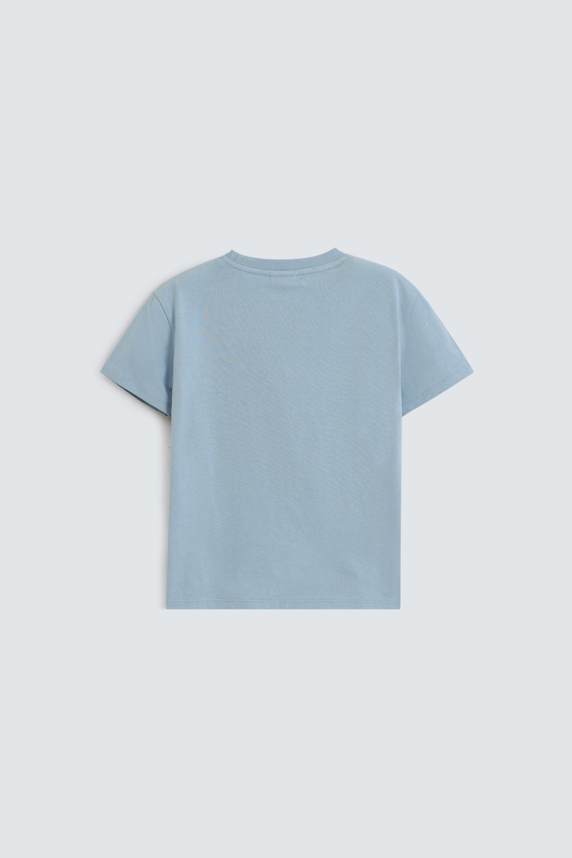 Pale Blue