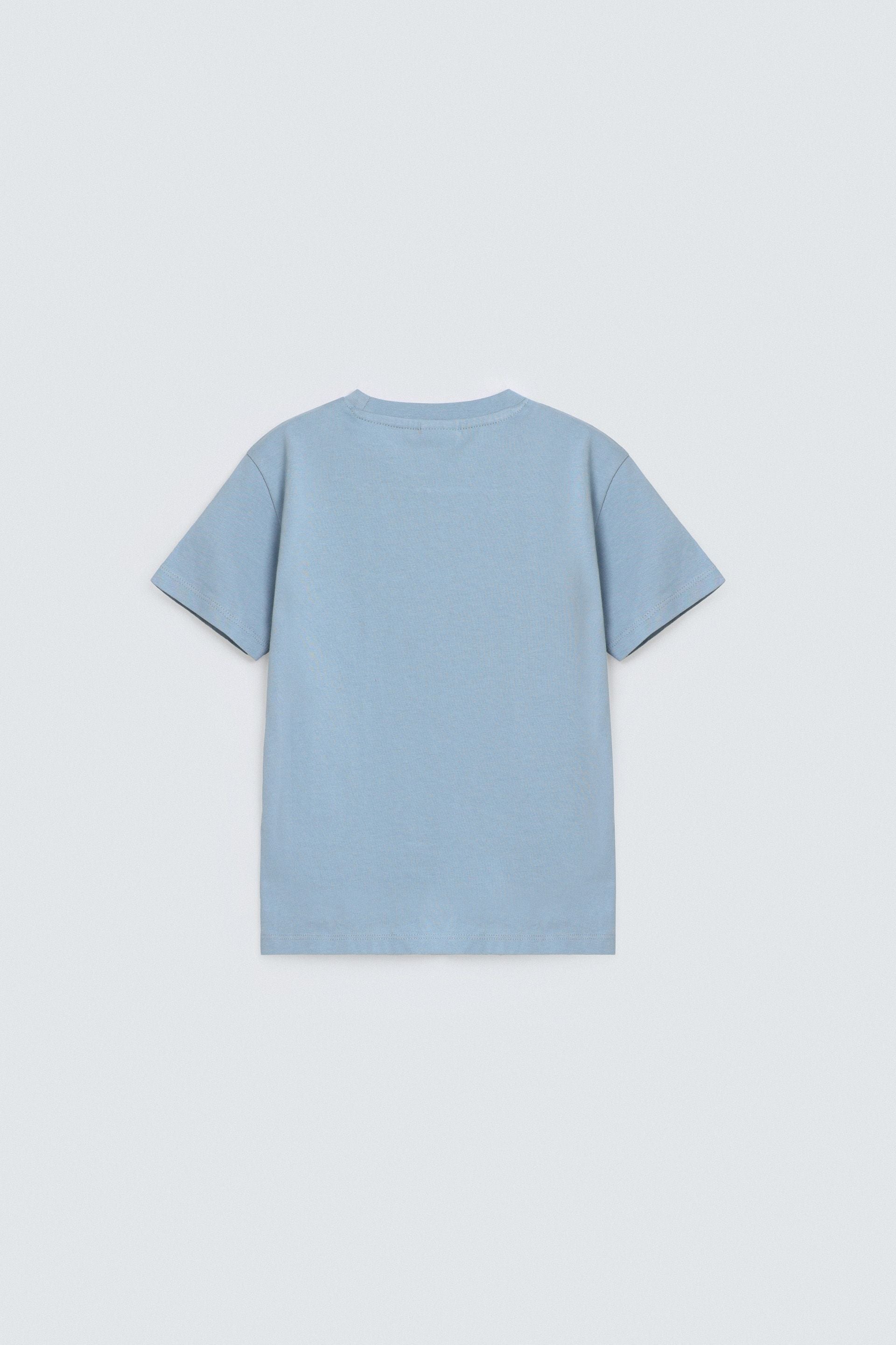 Pale Blue