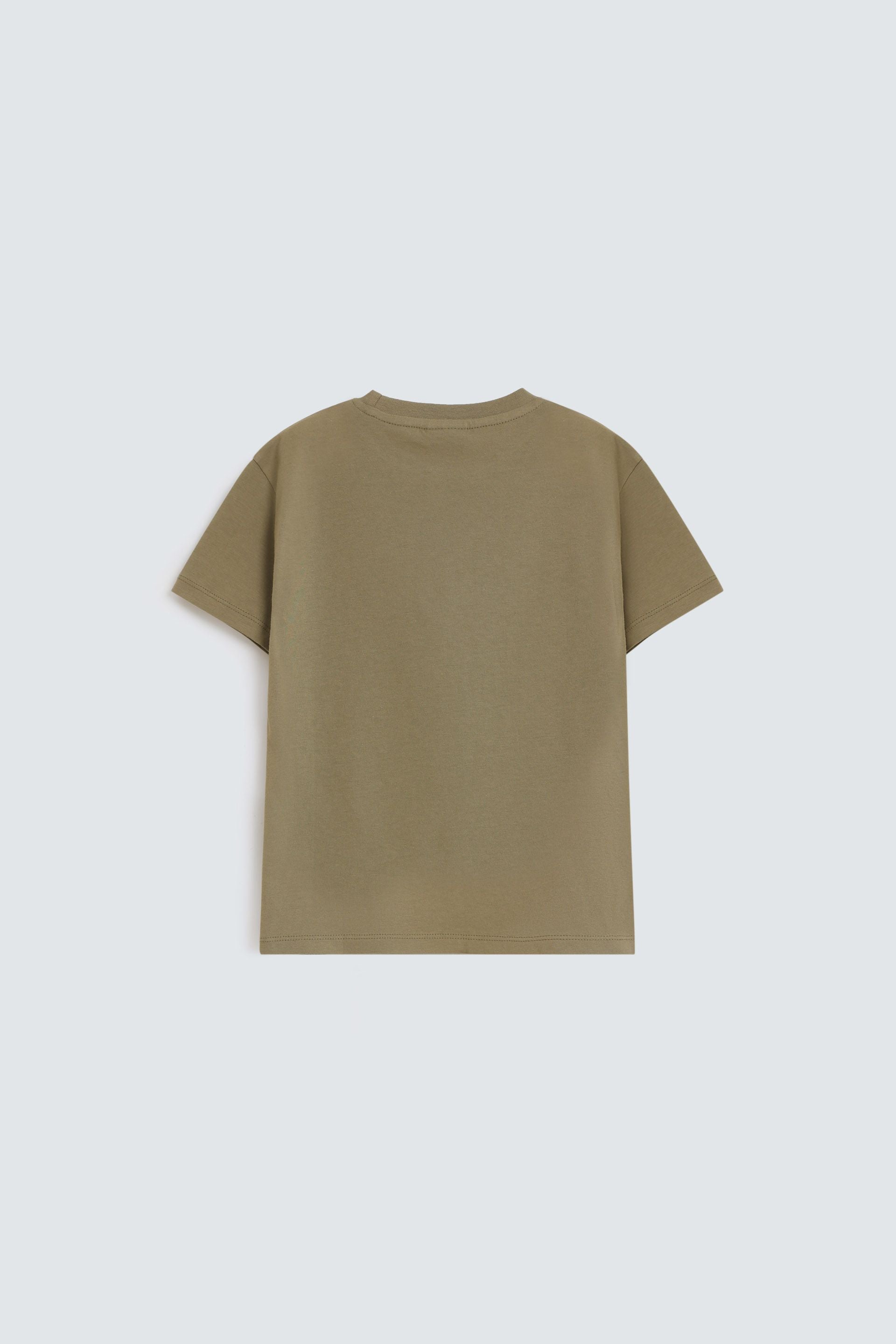Mid Olive