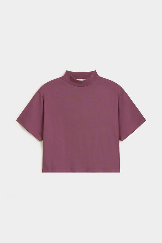 Cloudy Violet