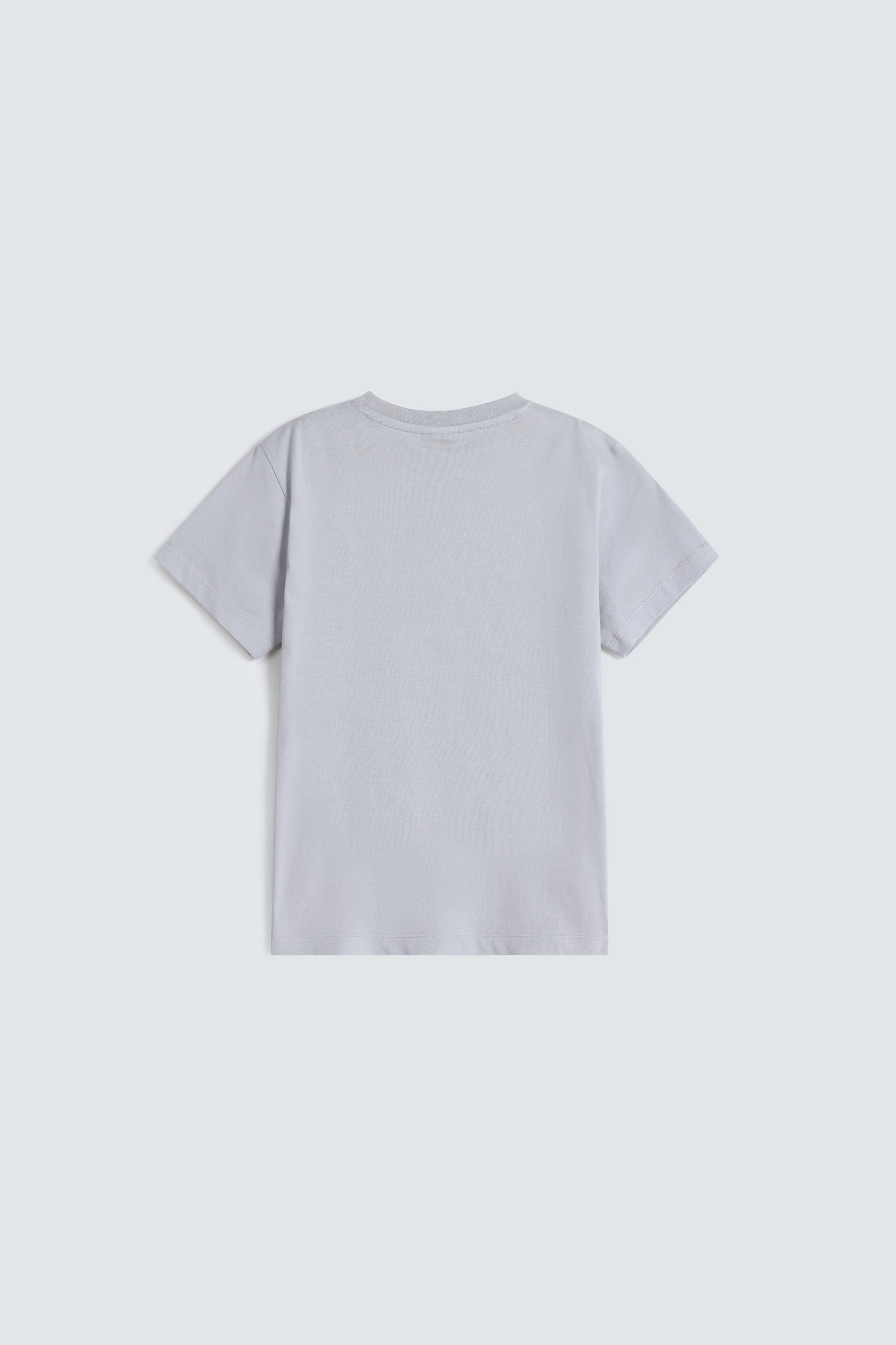 Pale Grey