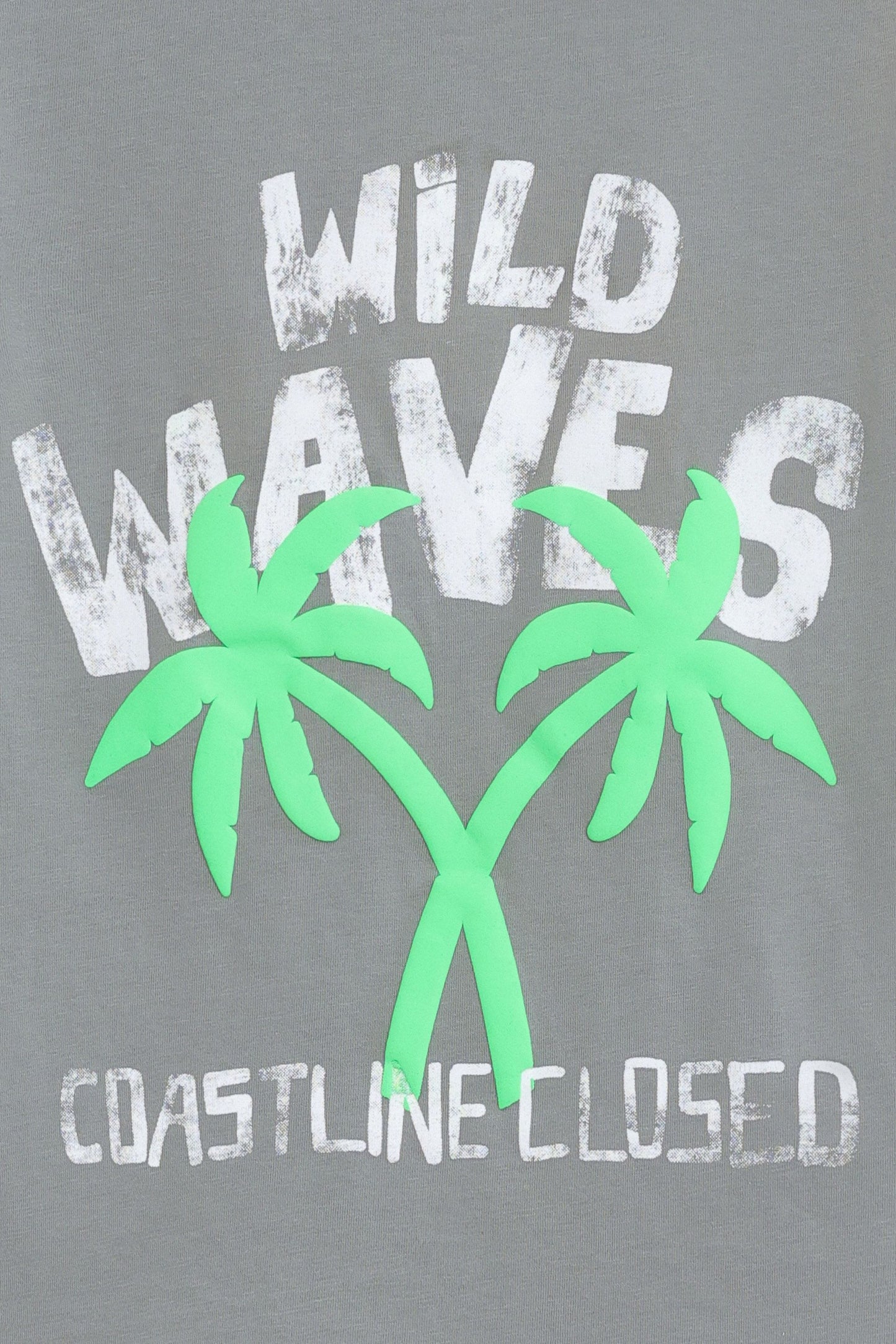 Graphic T-Shirt