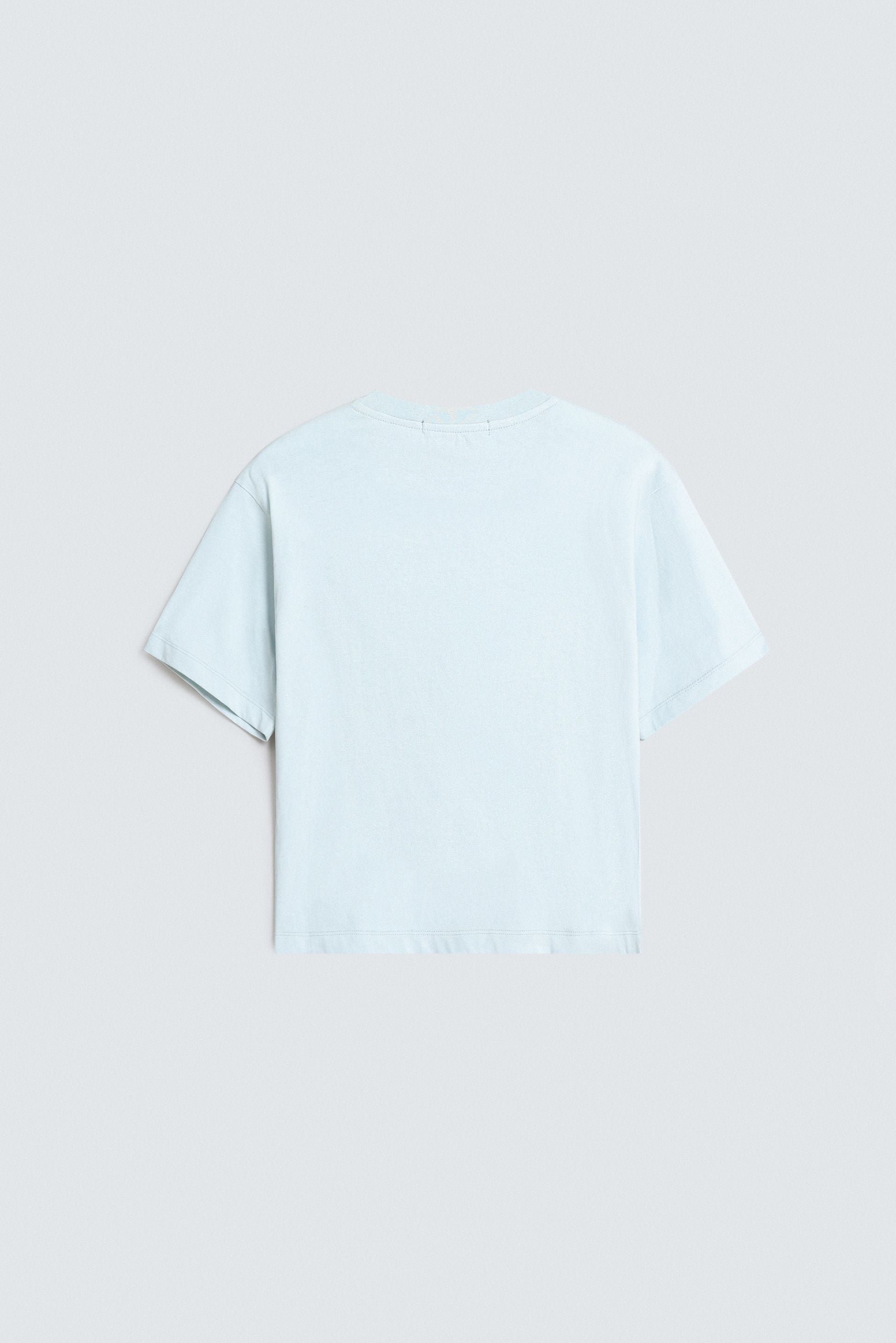 Pastel Green