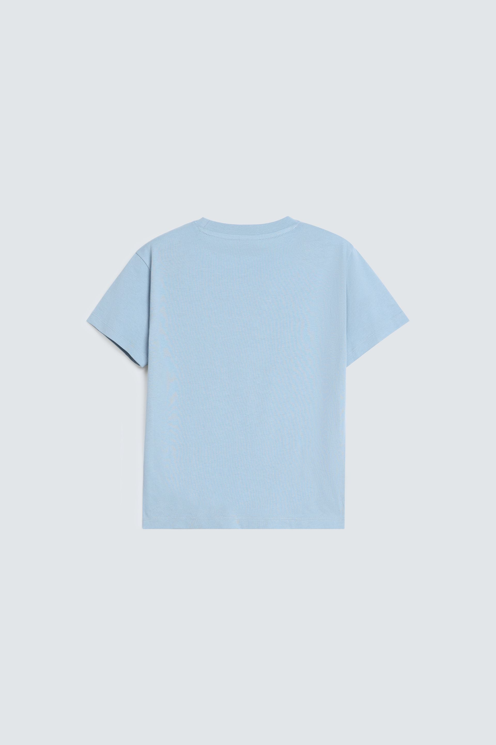 Pale Blue
