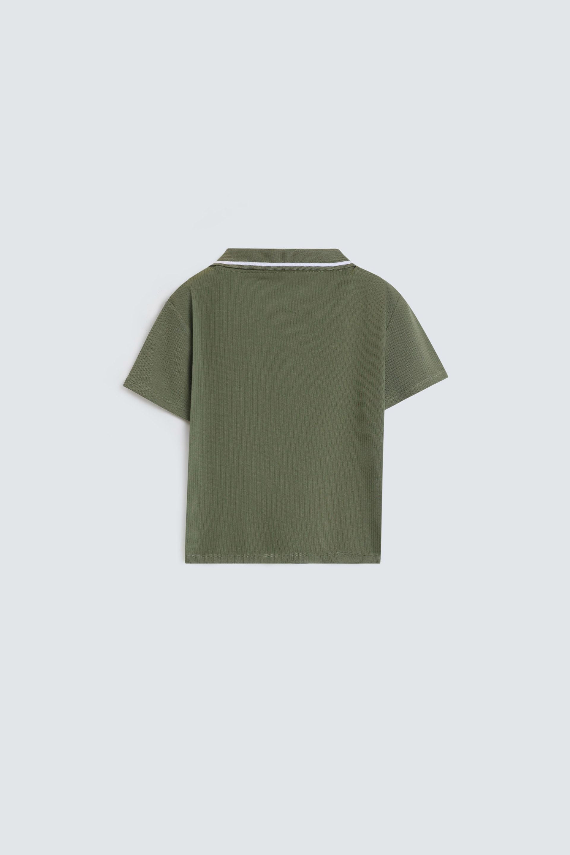 Mid Olive