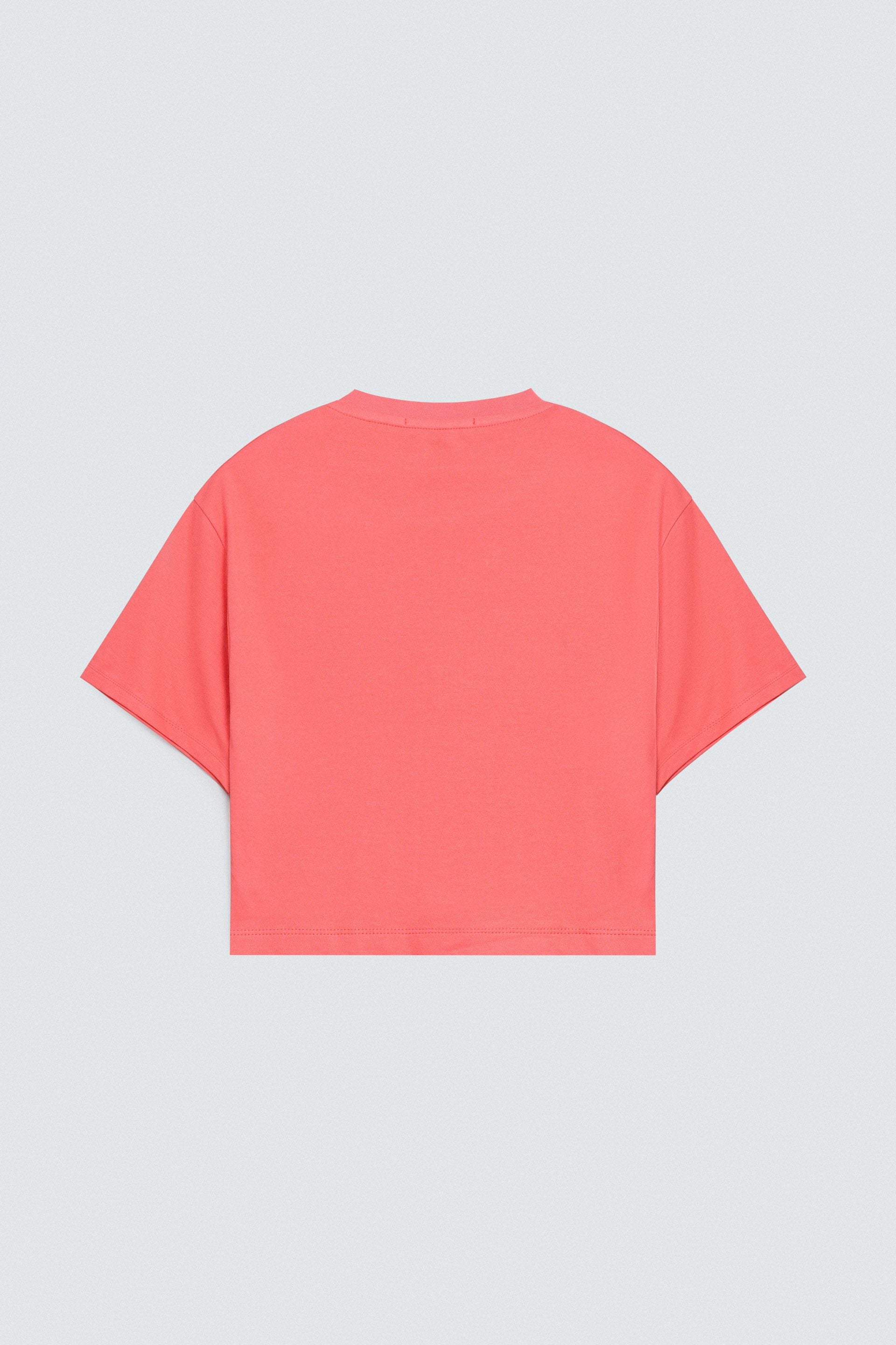 Baby Coral