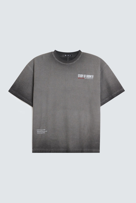 Anthracite Grey