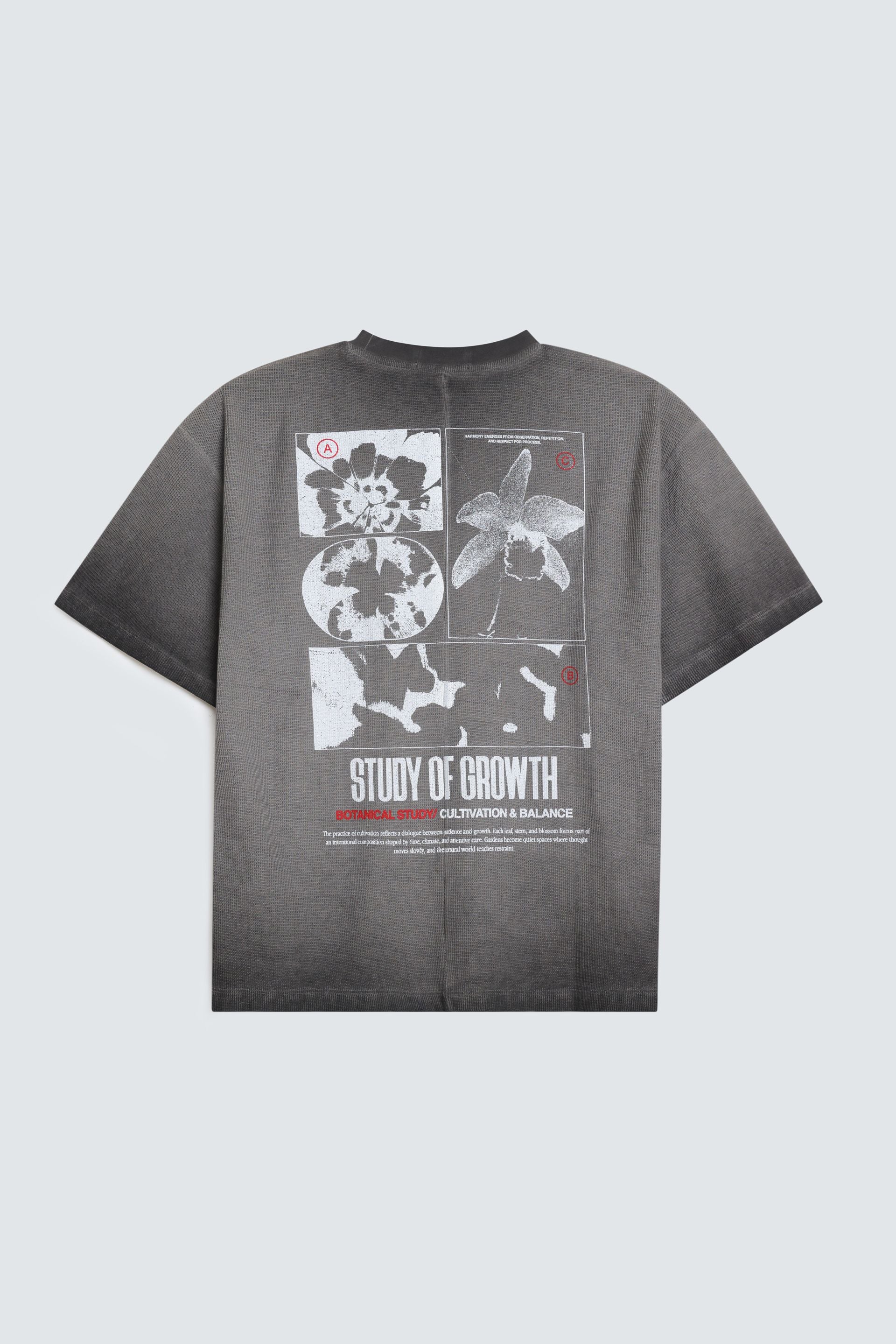 Anthracite Grey