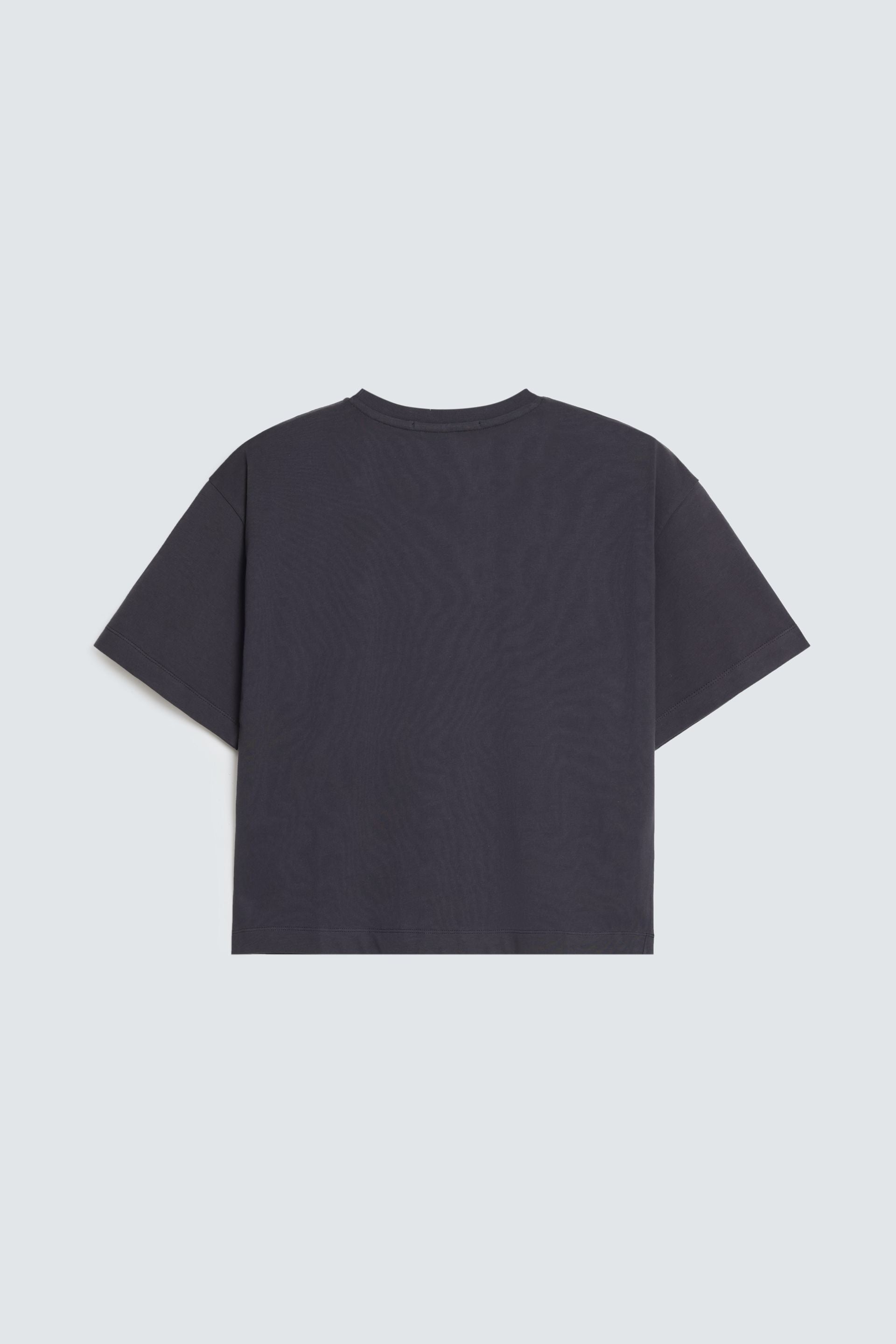 Anthracite Grey