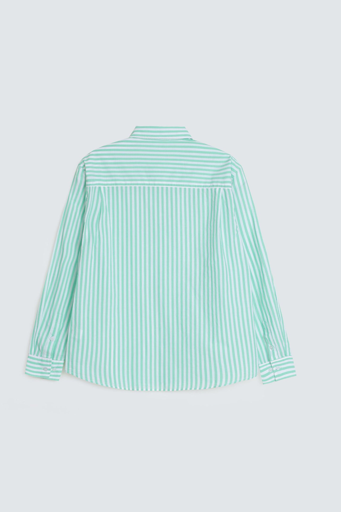 Light Sea Green