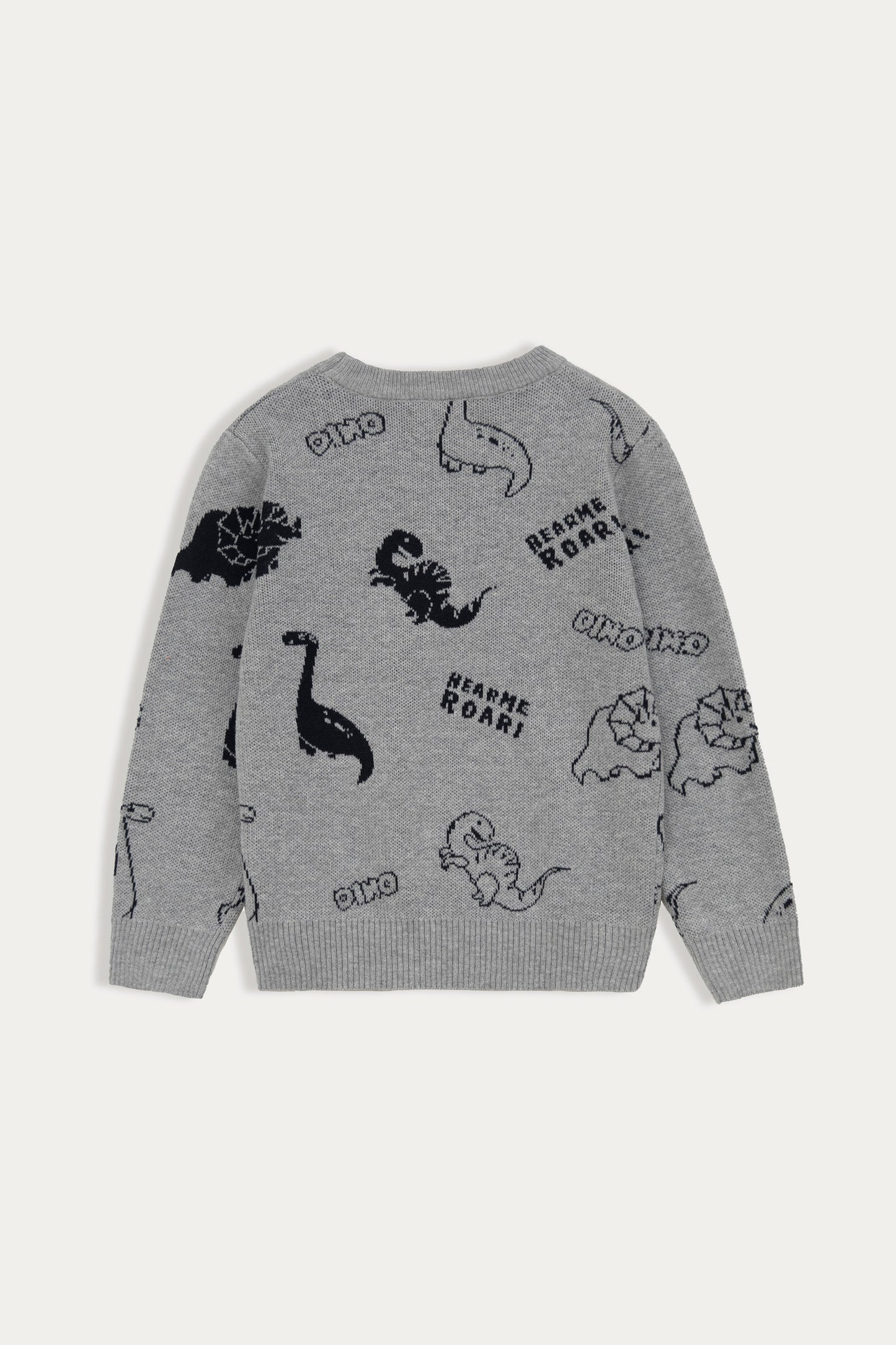 Dino Crew Neck Pattern Sweater