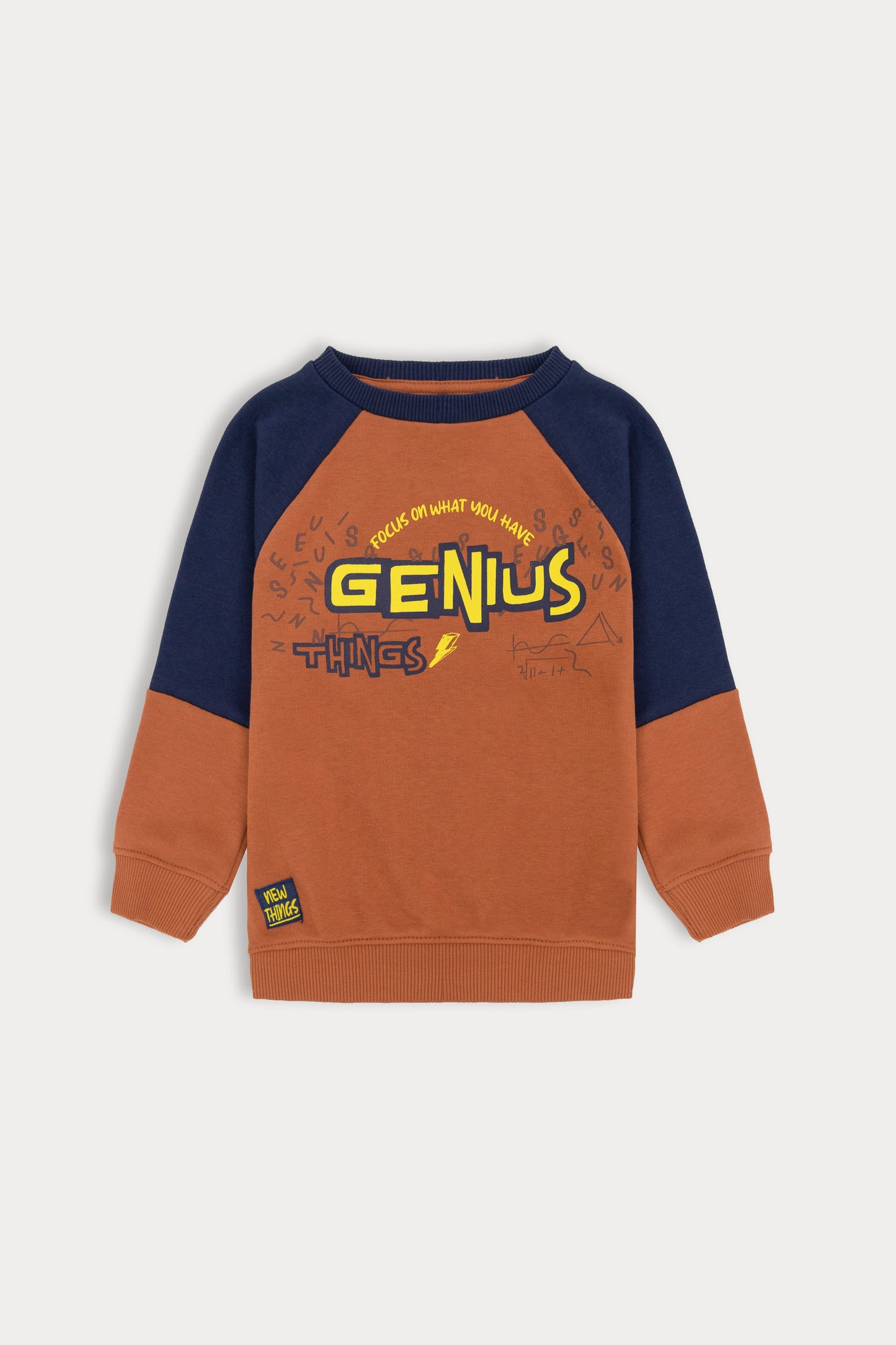 Genius Color Block Sweatshirt
