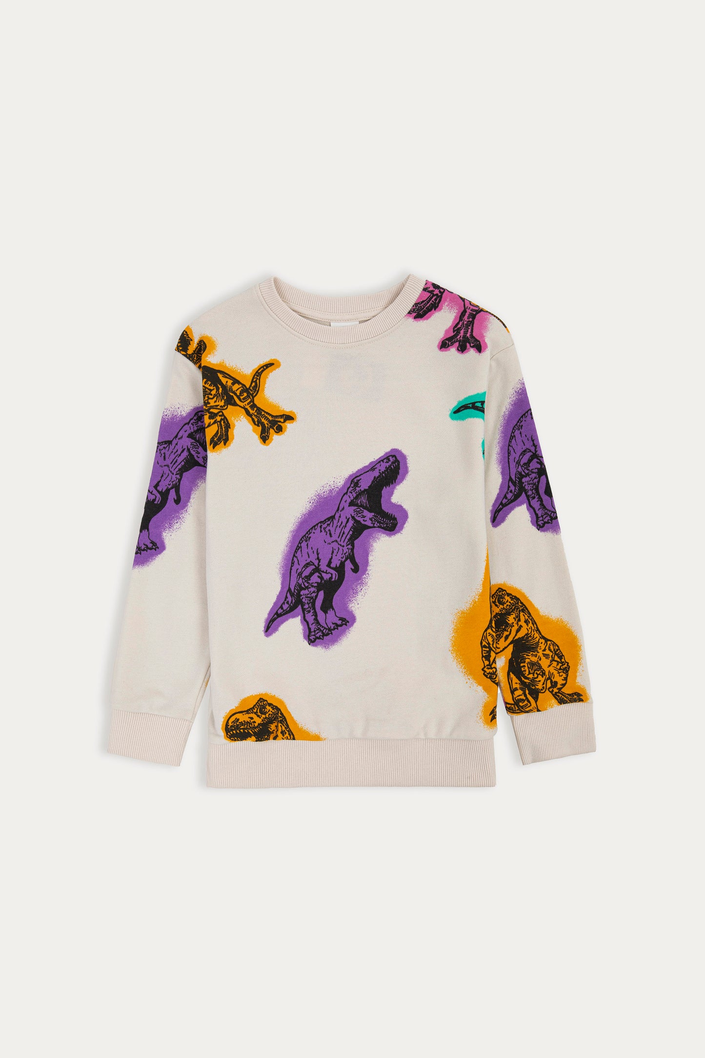 Abstract Dinosaur Pattern Sweatshirt