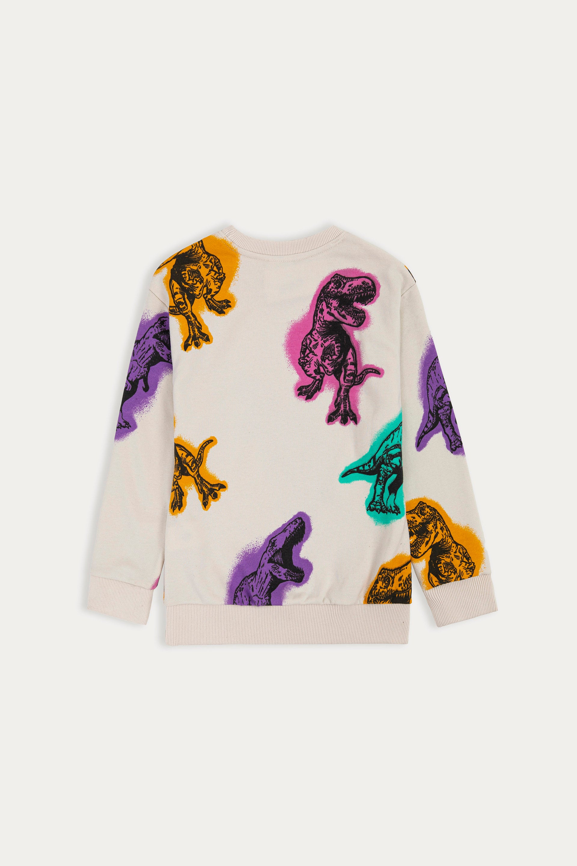 Abstract Dinosaur Pattern Sweatshirt
